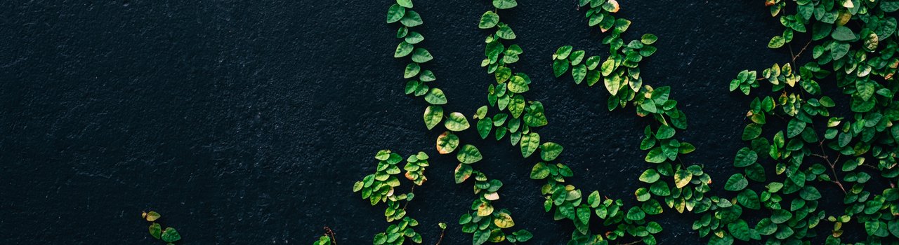 Sustainability initiative