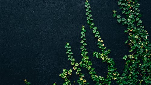 Sustainability initiative