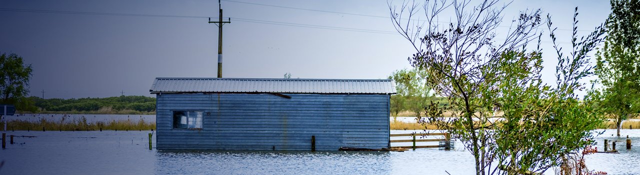 climate_action_BANNER