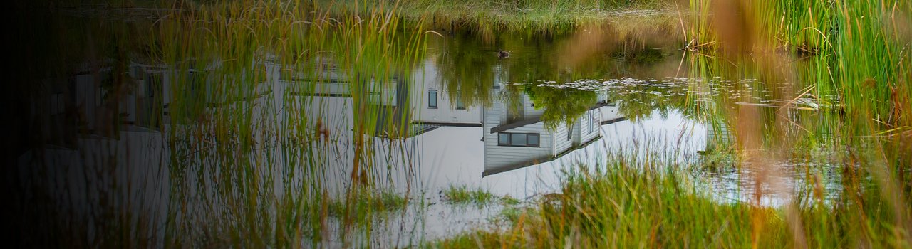 climate_banner_action-prevent
