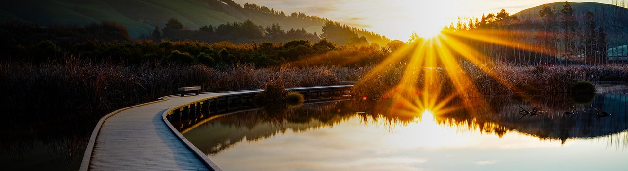 climate_banner_actions