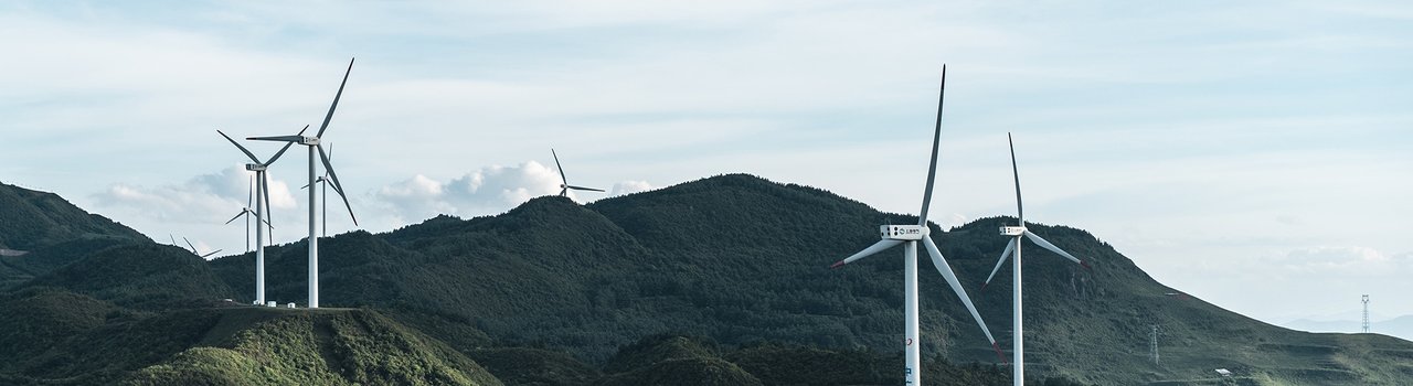 Climate change_Wagtail.jpg