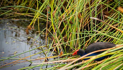 climate_tile_action-impact