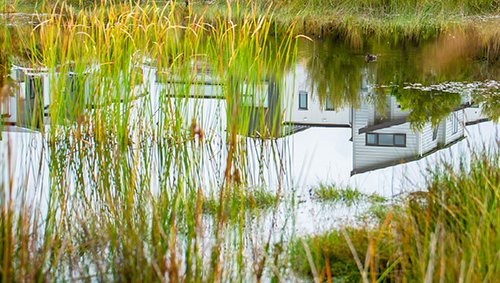 climate_tile_action-prevent