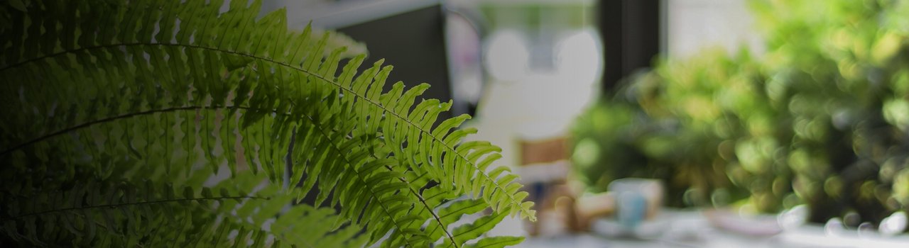 Discover2025_17-04_Member Support_WebBanner