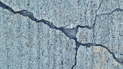 Society for Earthquake Engineering