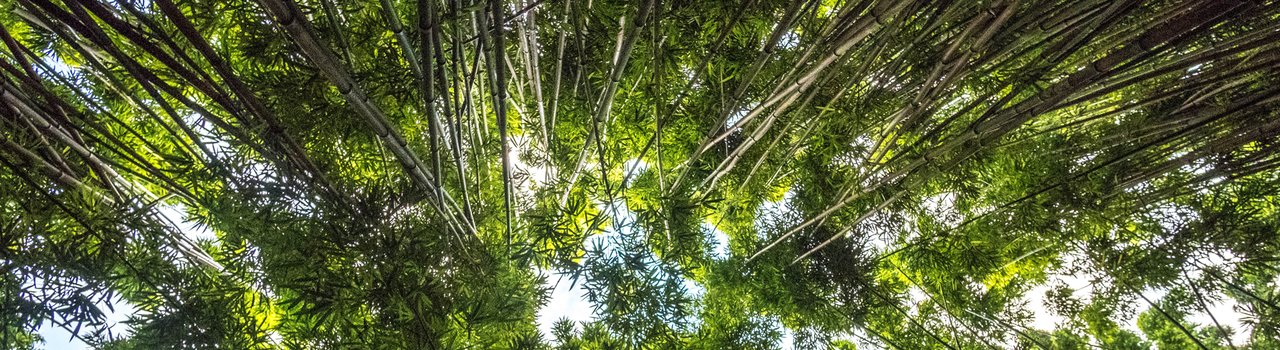 EG24_Degrowth_banner