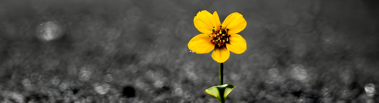 EG24_EngineersHaveFeelings_banner