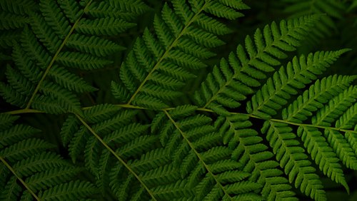 EG32_Alyce Lysaght_Banner