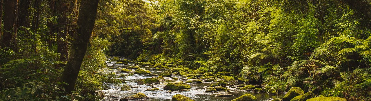 EG_21-SandeekaBanner