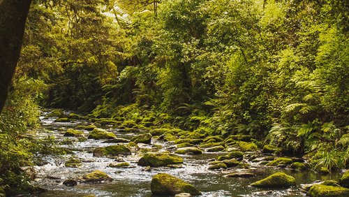 EG_21-SandeekaBanner