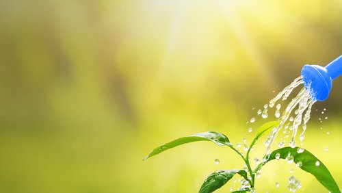 GrantProgramme-Banner