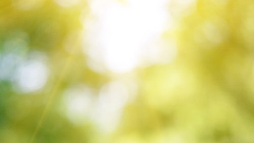 health_essentials_BANNER