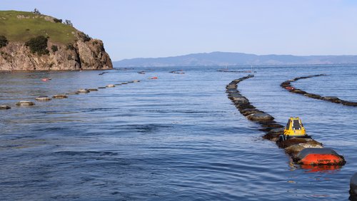 Green growth in a blue setting