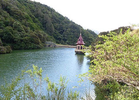 Karori-Water-Supply-4