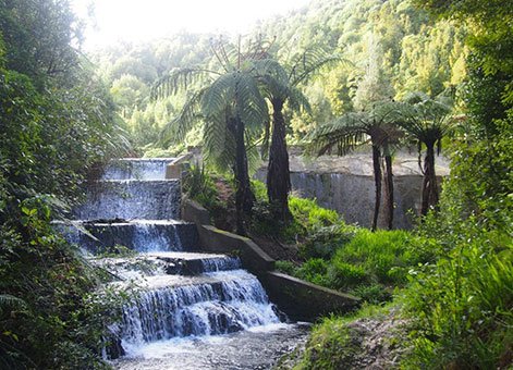 Korokoro Stream Dams