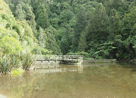 Korokoro Stream Dams 3