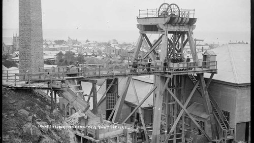 Thames Hauraki Mine Shaft