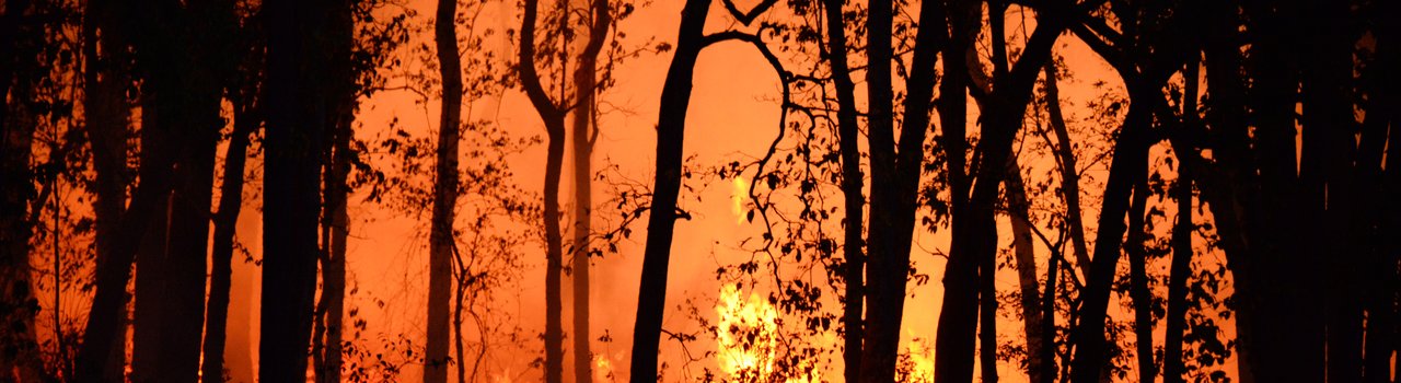 pexels-deep-rajwar-4621457