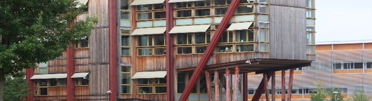 Timber design society