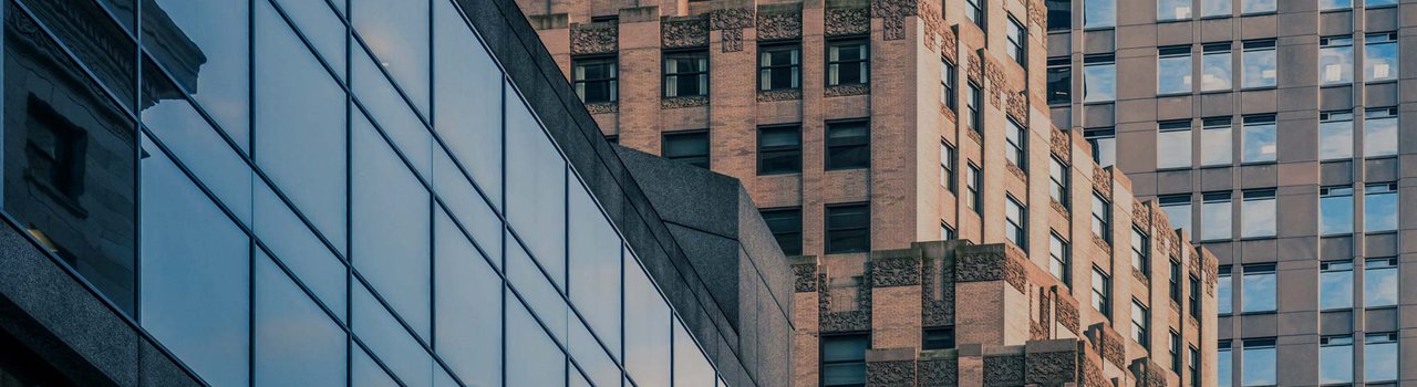 Professional development partners