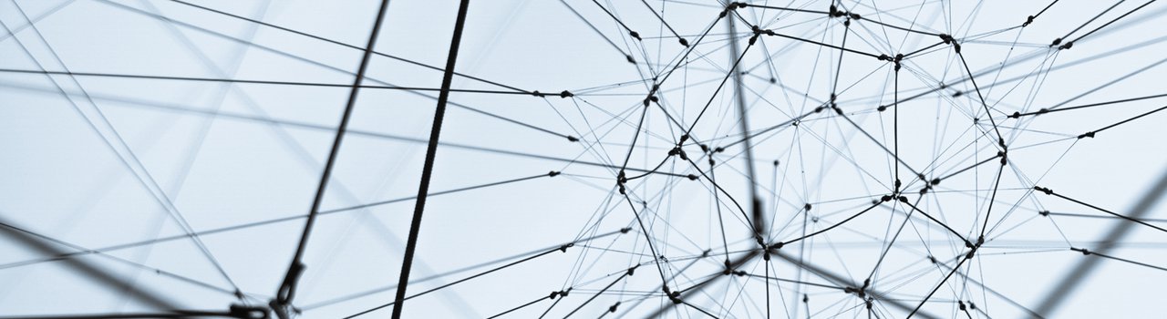 Development programme Header