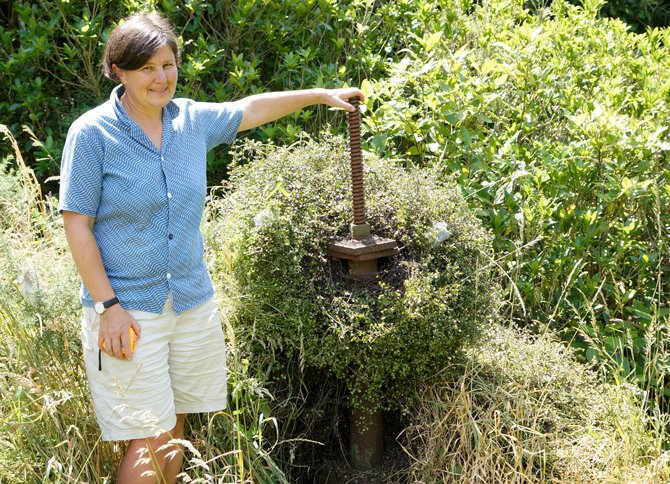 Johnsonville Waterworks