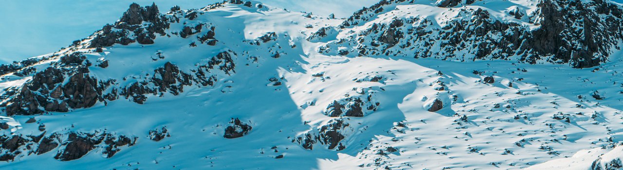 Secret-Life_Banner-Image_3