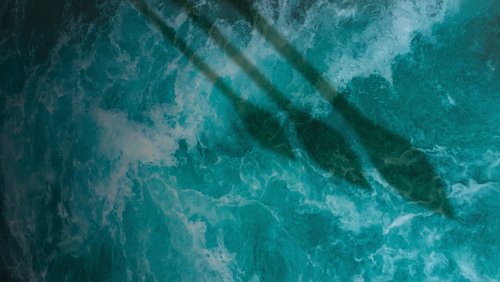 Wānanga_Homepage banner