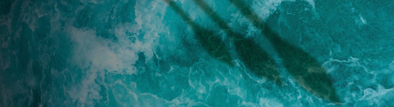 Wānanga_Web banner