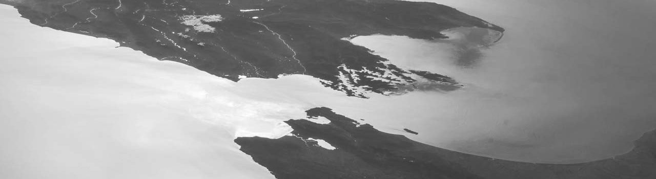 Working in New Zealand