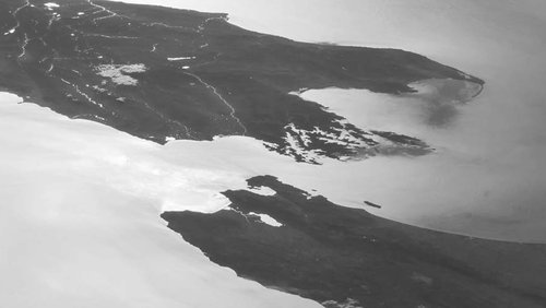 Working in New Zealand