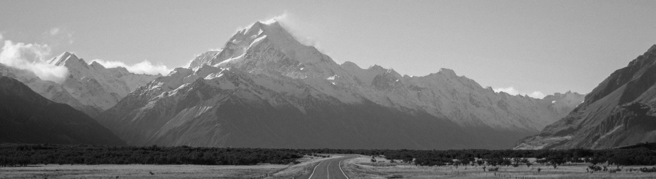 Working in New Zealand New