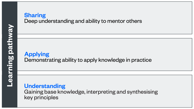 Understanding learning pathway