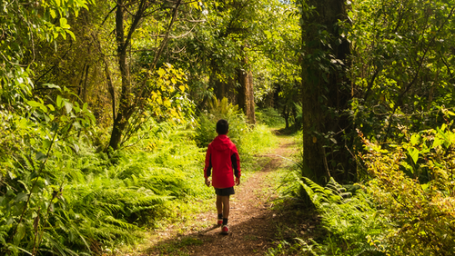 KimihiaRangahaua_banner_hero